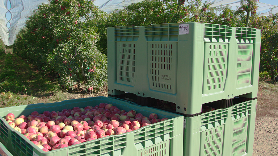 Intermediate Bulk Container