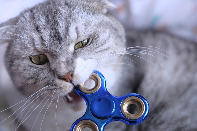 Ako si vyrobiť Spinner